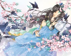 狼导航在线跳转